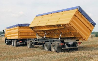 Услуги зерновозов для перевозки зерна - Иваново, цены, предложения специалистов