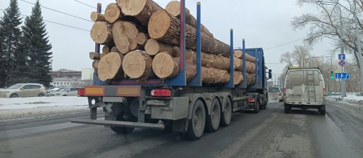Поиск транспорта для перевозки леса, бревен и кругляка стоимость услуг и где заказать - Иваново